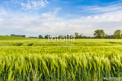 fotolia_112553163