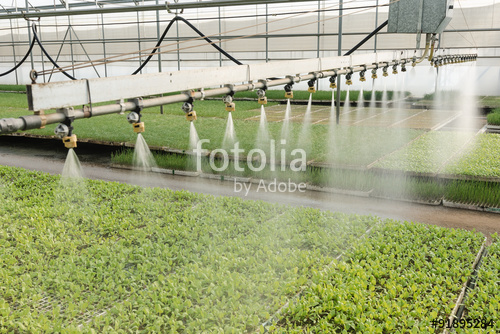 fotolia_91895284